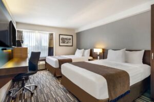 15 51258 guest room nqq1 1 1 wp