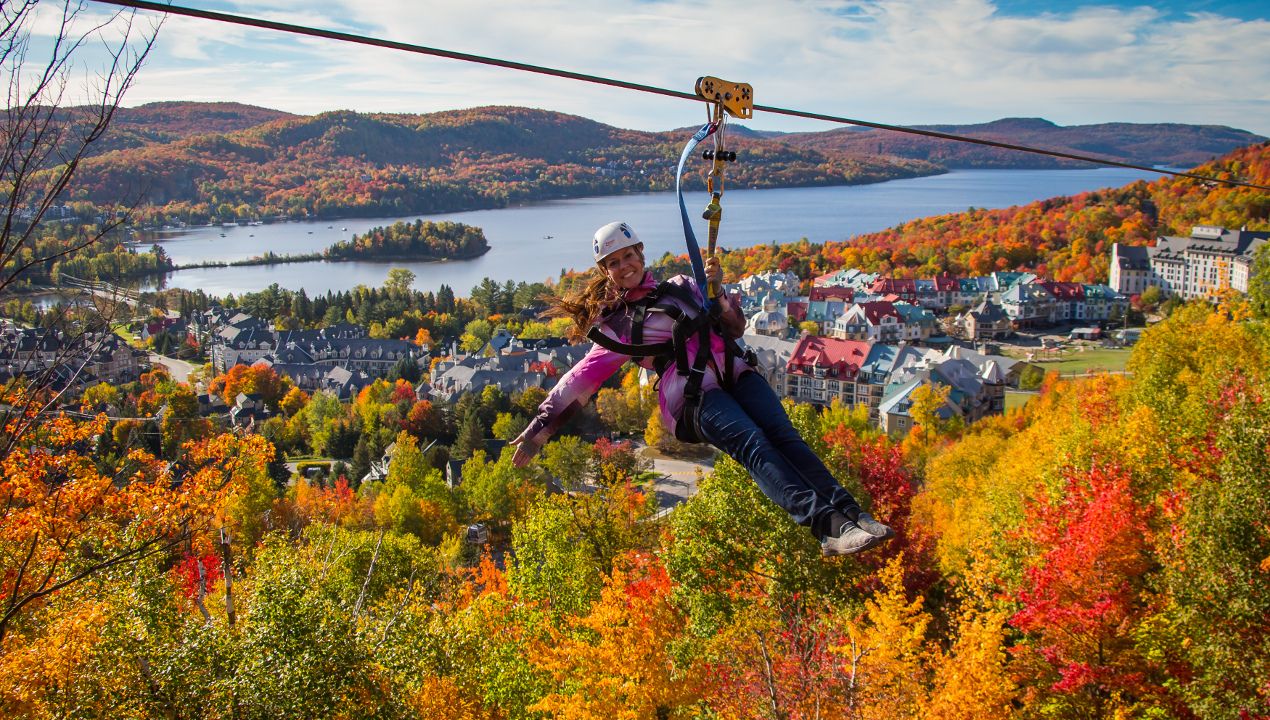 Zipline through the forest canopy