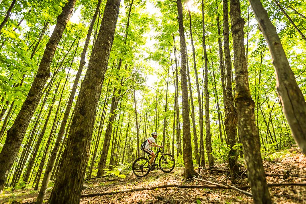 Home Activities near Mont-Tremblant